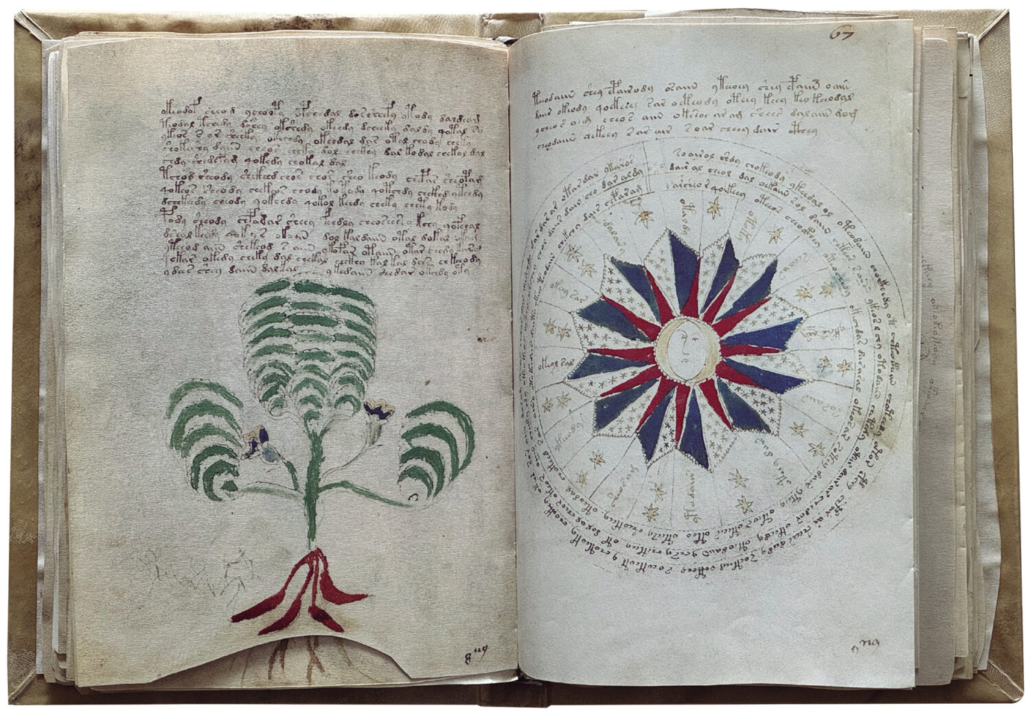 Manuscrito Voynich - Patrimonio Ediciones
